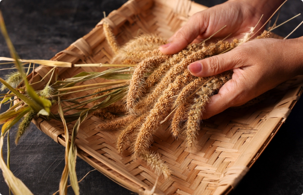 Millets & Their Health Benefits